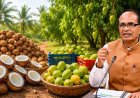 तमिलनाडु के किसानों के लिए खोपरा और आम खरीद को मंजूरी