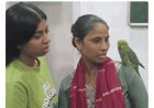 छह दिन बाद वकील साहब  के 'माऊ' तोते की घर वापसी