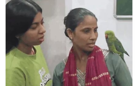 छह दिन बाद वकील साहब  के 'माऊ' तोते की घर वापसी