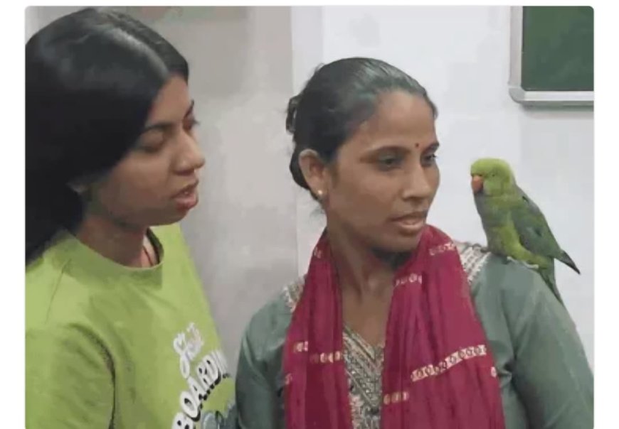 छह दिन बाद वकील साहब  के 'माऊ' तोते की घर वापसी