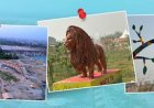 कचरे से कंचन: कूड़े के पहाड़ को बना दिया राप्ती ईको पार्क