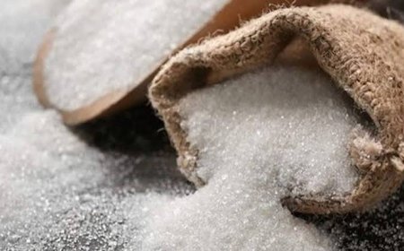 त्योहार के मौसम में मीठी होगी चीनी की मिठास  -      