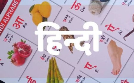 हिंदी और एक राजभाषा का प्रश्न