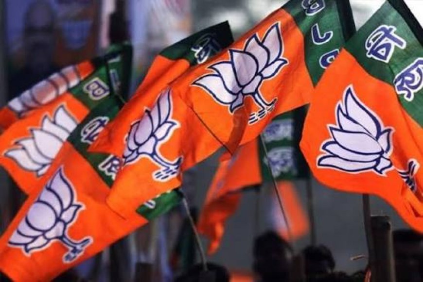 भाजपा के आठ राज्यसभा प्रत्याशी मंगलवार को दाखिल करेंगे नामांकन